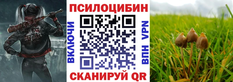 Псилоцибиновые грибы GOLDEN TEACHER  kraken tor  Калуга  купить наркотики цена 