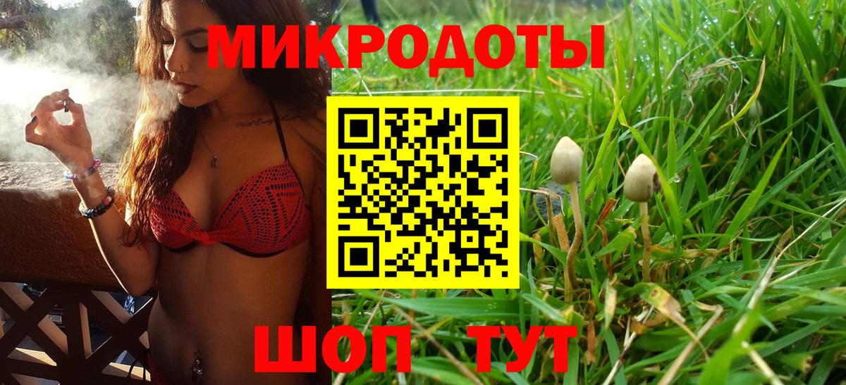Галлюциногенные грибы мицелий Калуга