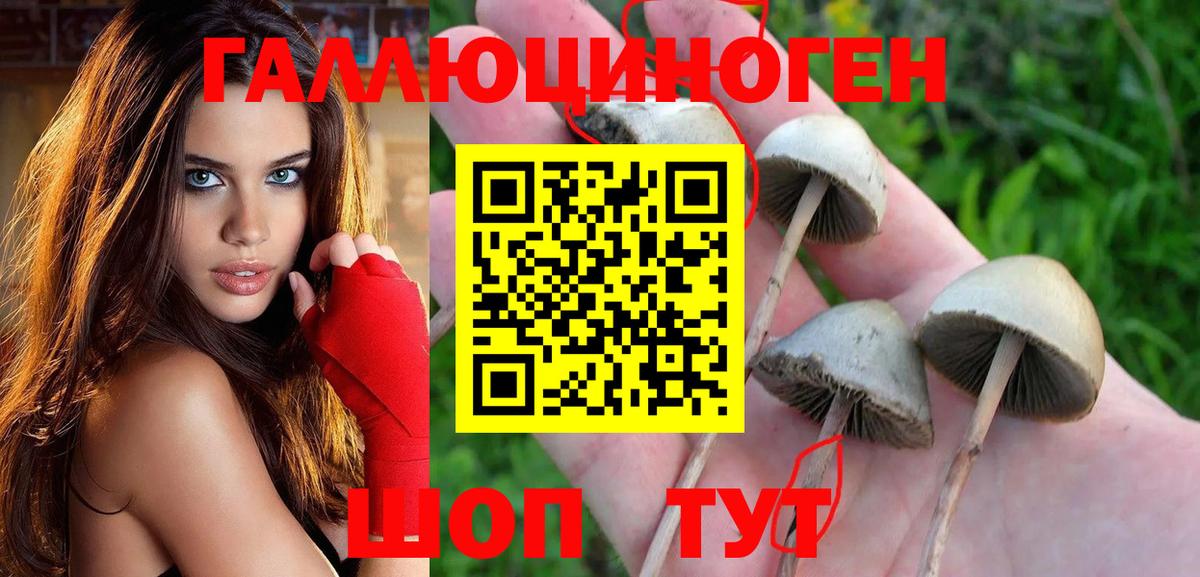 наркота  Псилоцибиновые грибы Psilocybe  Вход с VPN  Калуга 